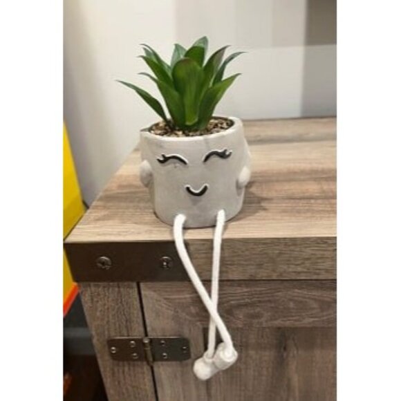 New artificial fake funny succulents in pots - small office desk decor - Picture 3 of 4